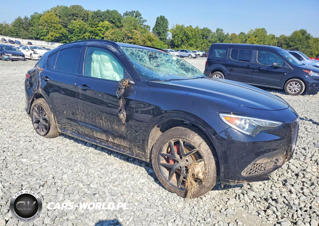 2021 Alfa Romeo Stelvio Ti VIN:ZASPAKBN2M7D02314 - 4