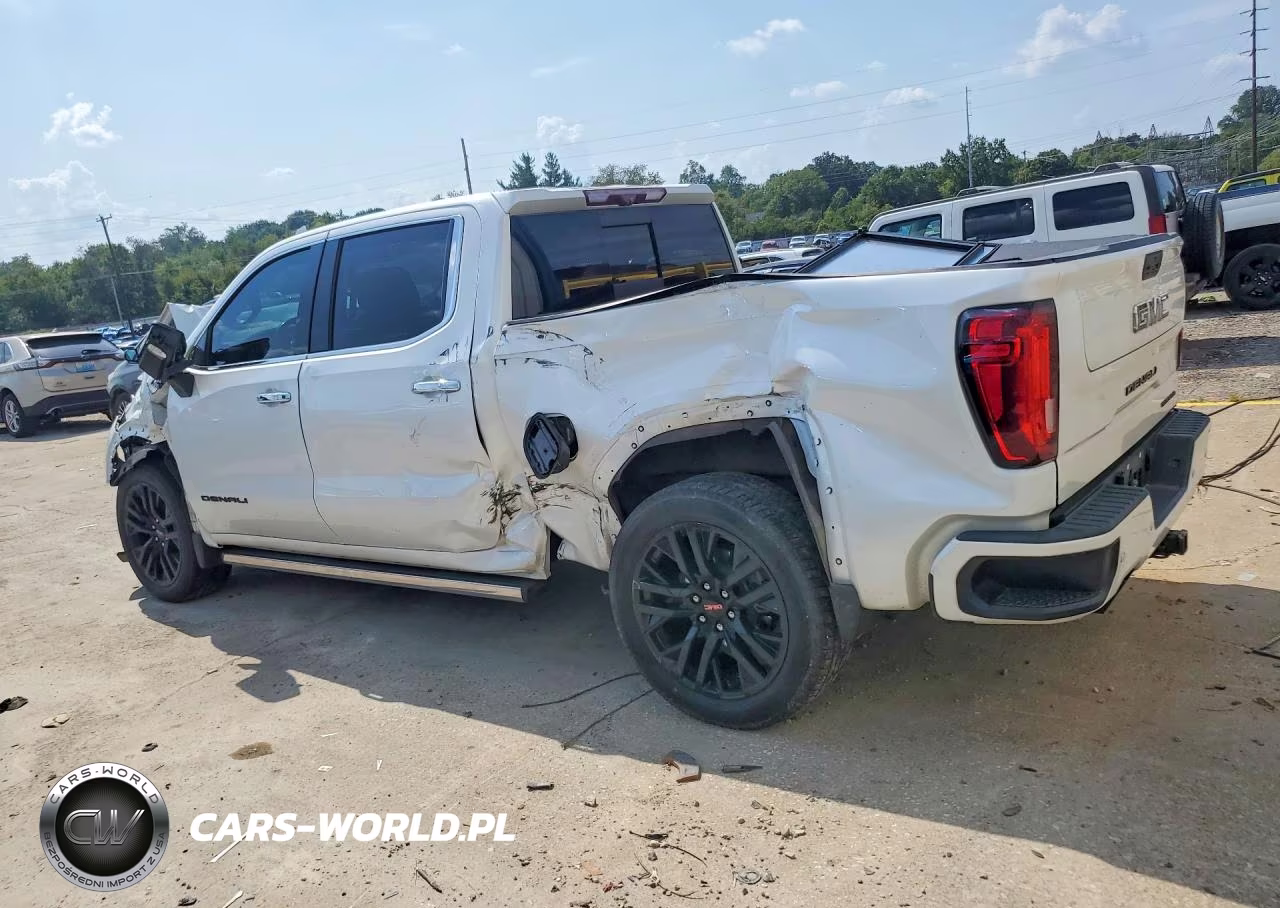 2020 GMC Sierra K1500 Denali VIN:1GTU9FEL0LZ243904 - 2