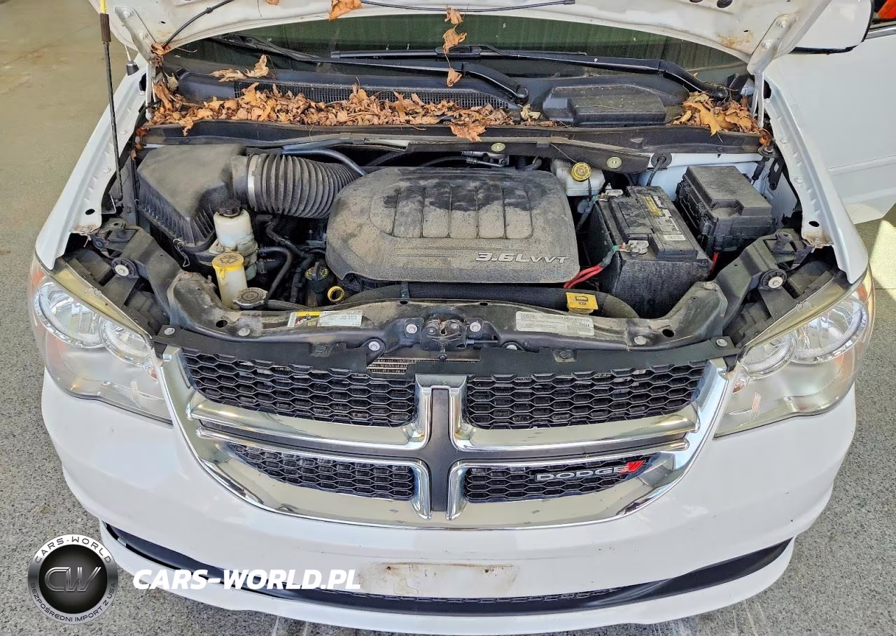 2017 Dodge Grand Caravan Sxt VIN:2C4RDGCGXHR817667 - 12