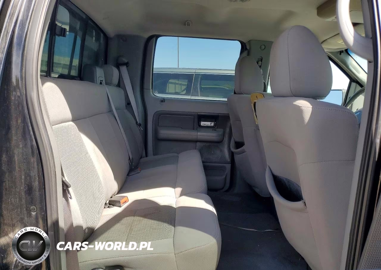 2006 Ford F150 VIN:1FTPW025X6KC85695 - 10