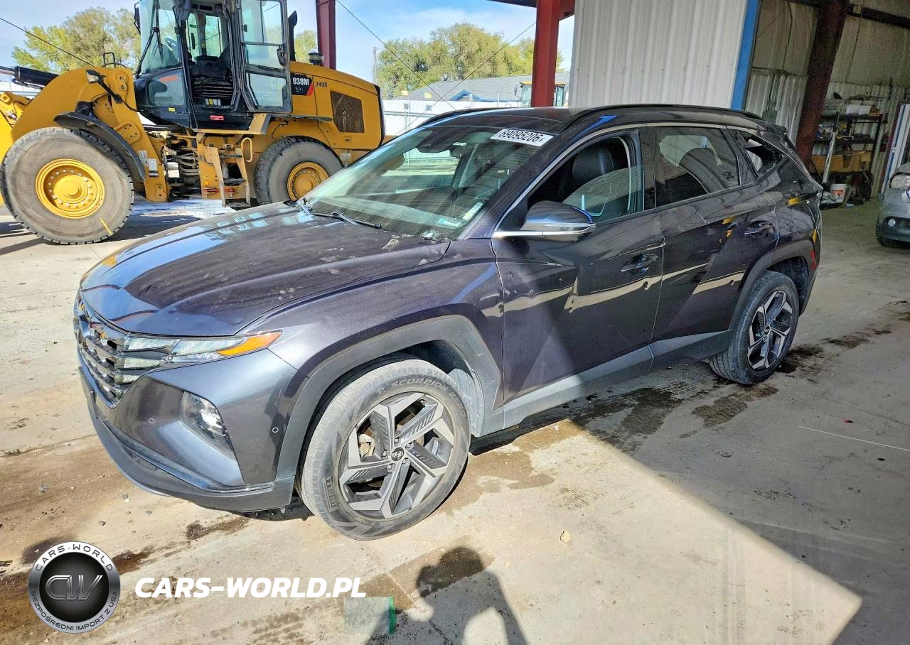 2024 Hyundai Tucson Limited VIN:5NMJECDEXRH305564 - 1