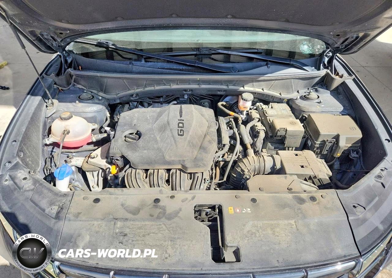 2024 Hyundai Tucson Limited VIN:5NMJECDEXRH305564 - 12