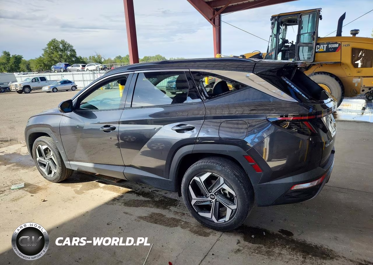 2024 Hyundai Tucson Limited VIN:5NMJECDEXRH305564 - 2