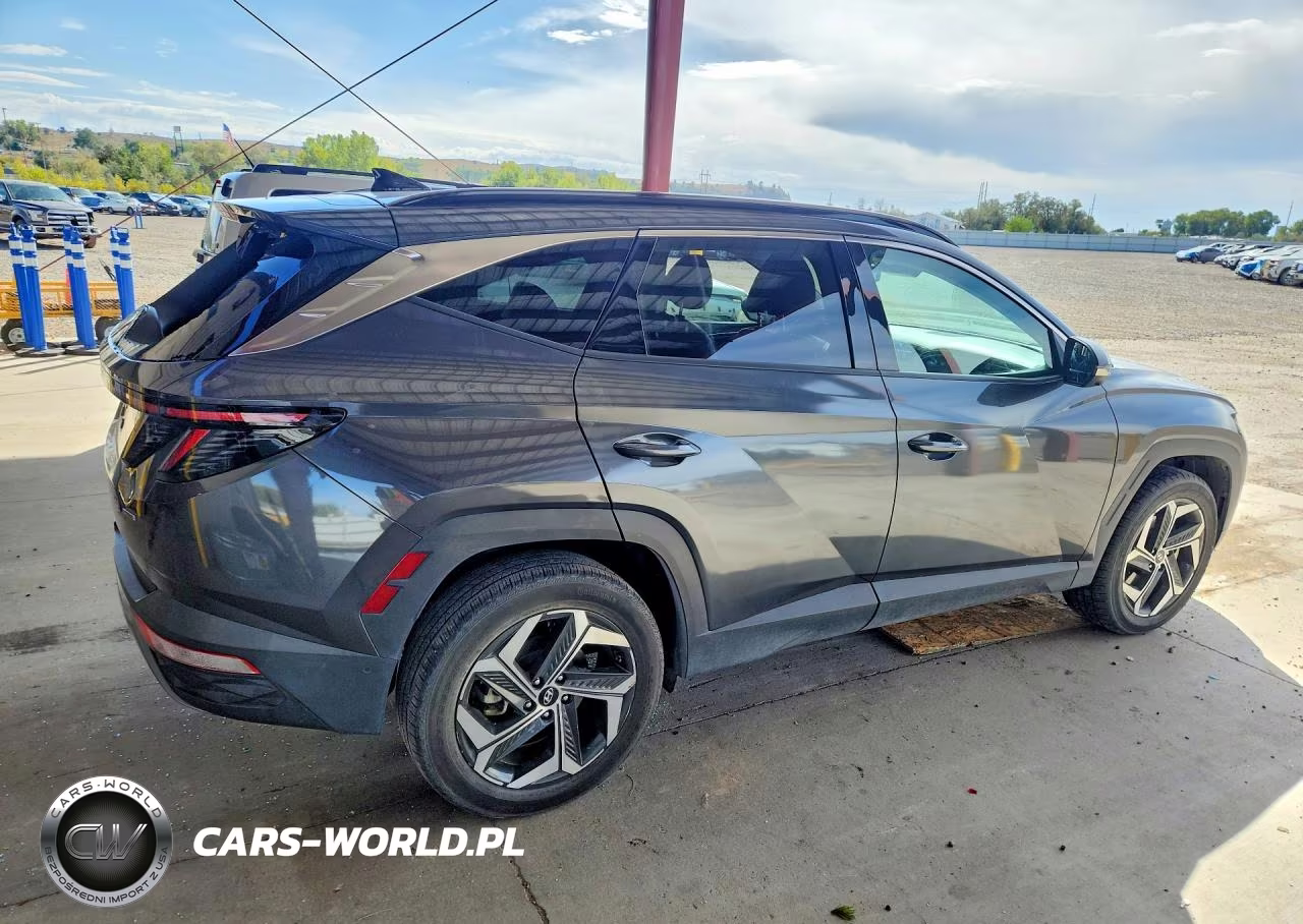 2024 Hyundai Tucson Limited VIN:5NMJECDEXRH305564 - 3