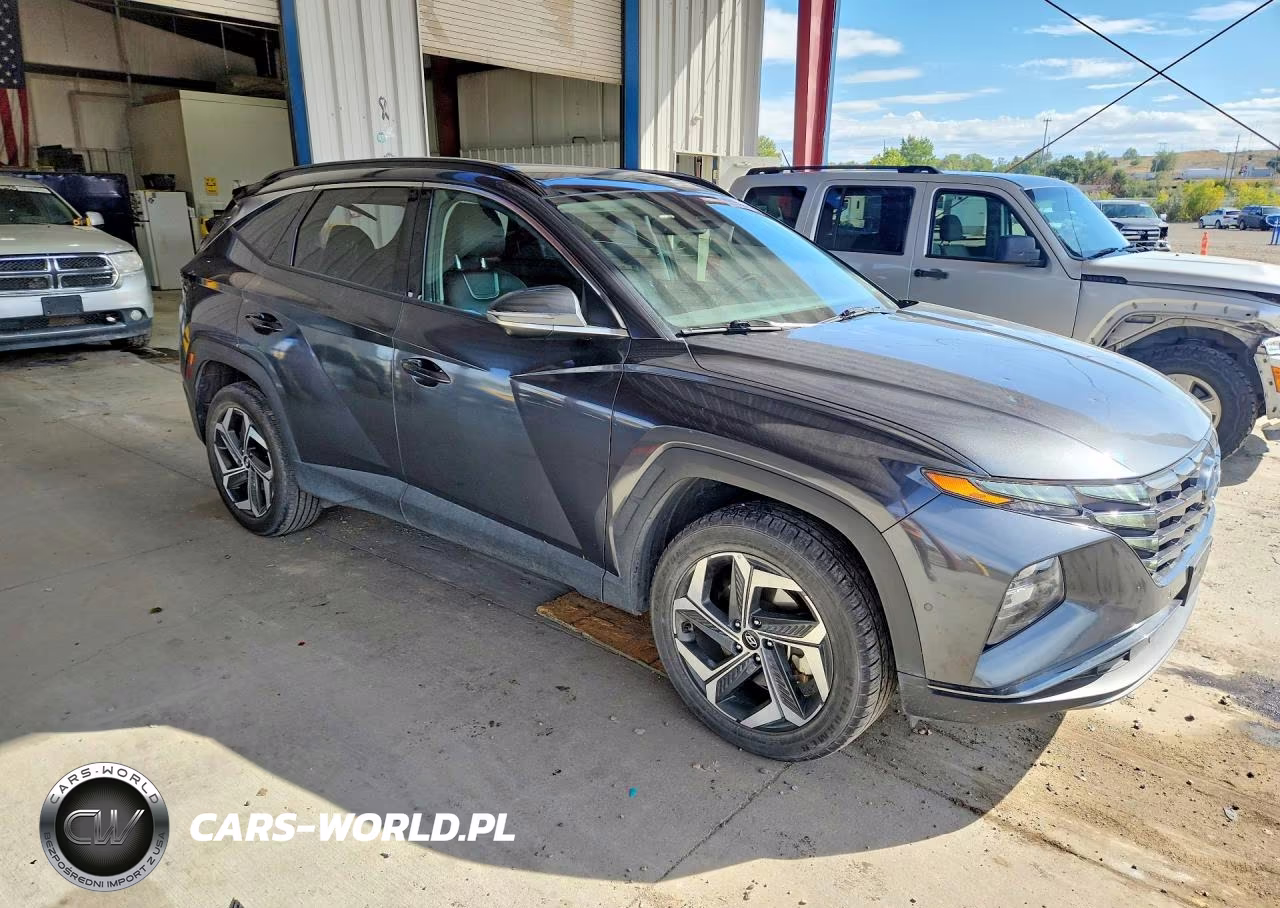 2024 Hyundai Tucson Limited VIN:5NMJECDEXRH305564 - 4