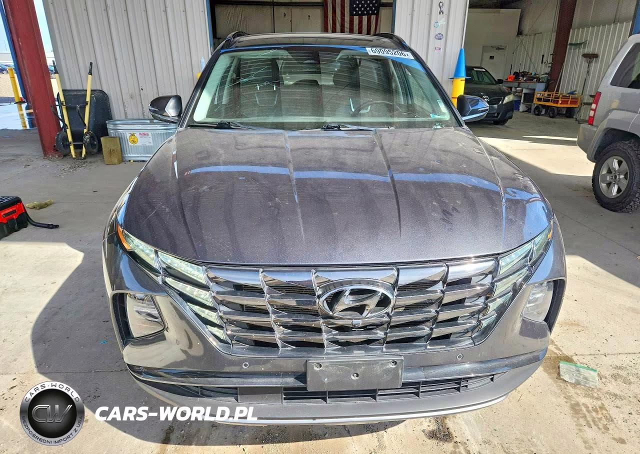 2024 Hyundai Tucson Limited VIN:5NMJECDEXRH305564 - 5