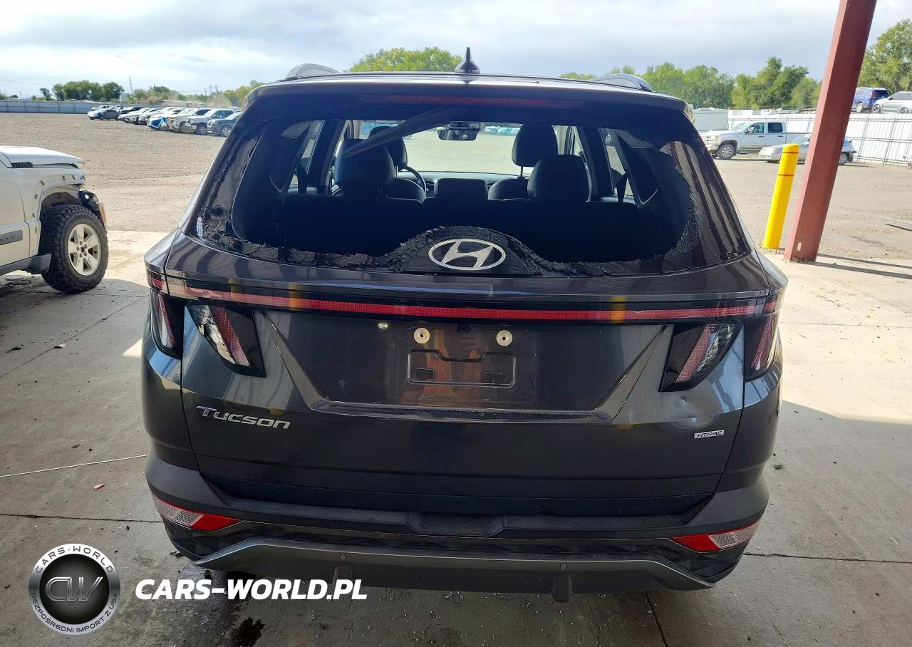 2024 Hyundai Tucson Limited VIN:5NMJECDEXRH305564 - 6