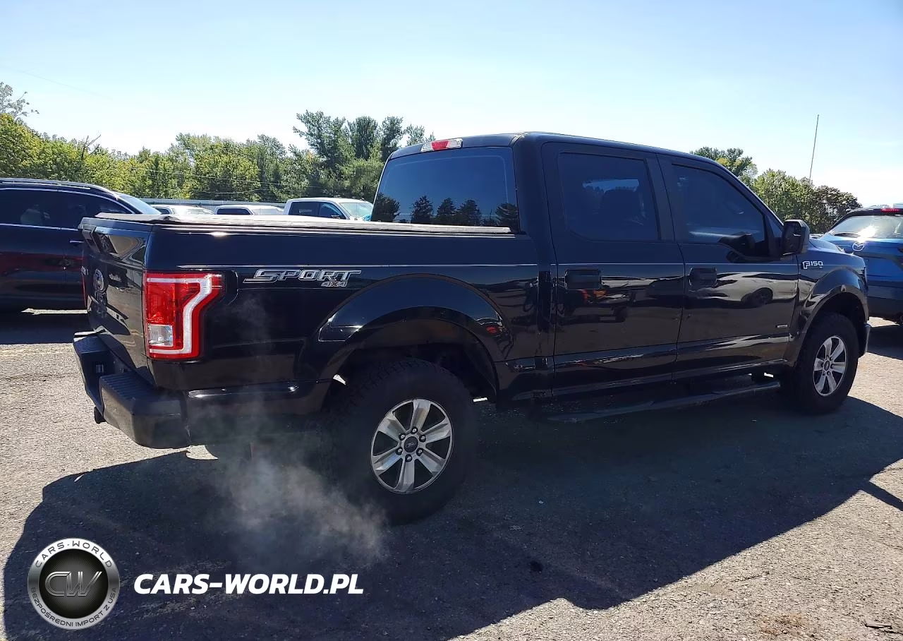 2016 Ford F150 Supercrew VIN:1FTEW1EP5GKE37975 - 3