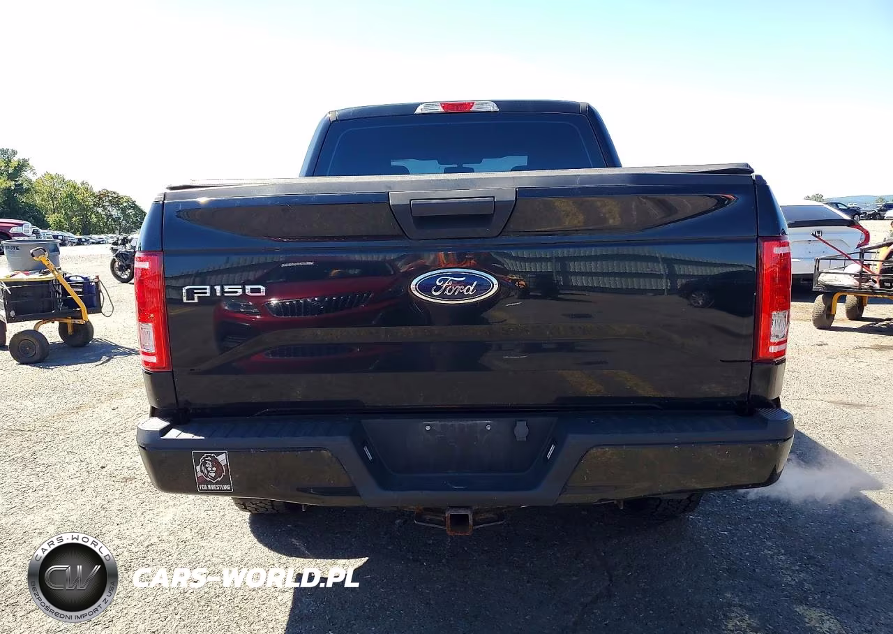2016 Ford F150 Supercrew VIN:1FTEW1EP5GKE37975 - 6