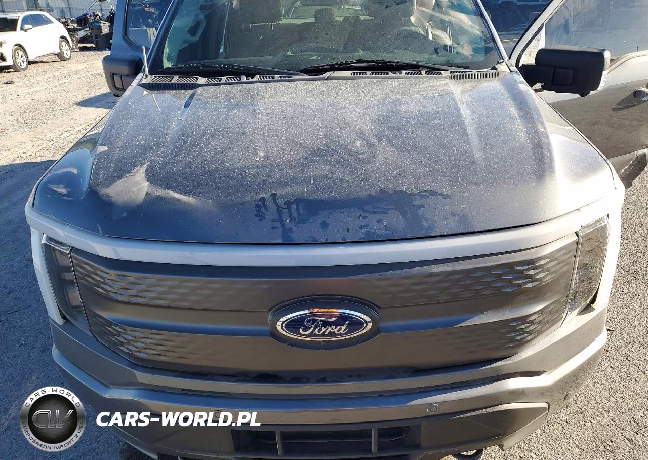 2023 Ford F150 Lightning Pro VIN:1FT6W1EV9PWG42484 - 11
