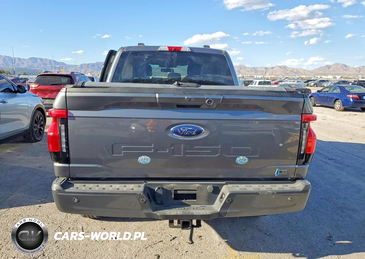 2023 Ford F150 Lightning Pro VIN:1FT6W1EV9PWG42484 - 6