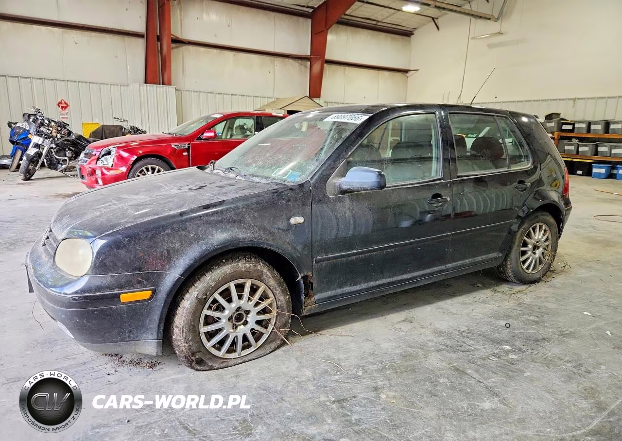 2004 Volkswagen Golf Gls – zdjęcie 1 z 12
