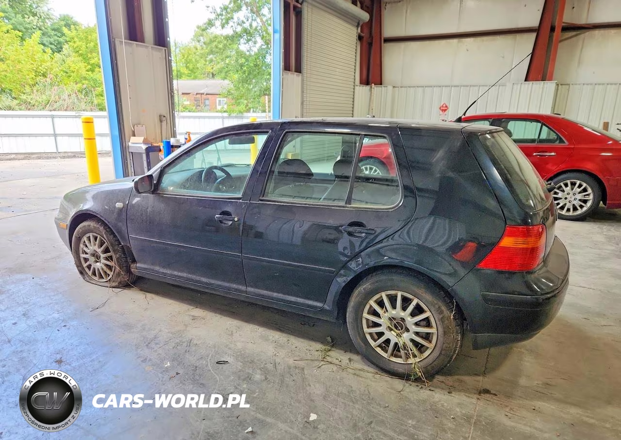 2004 Volkswagen Golf Gls VIN:9BWGL61J744009489 - 2