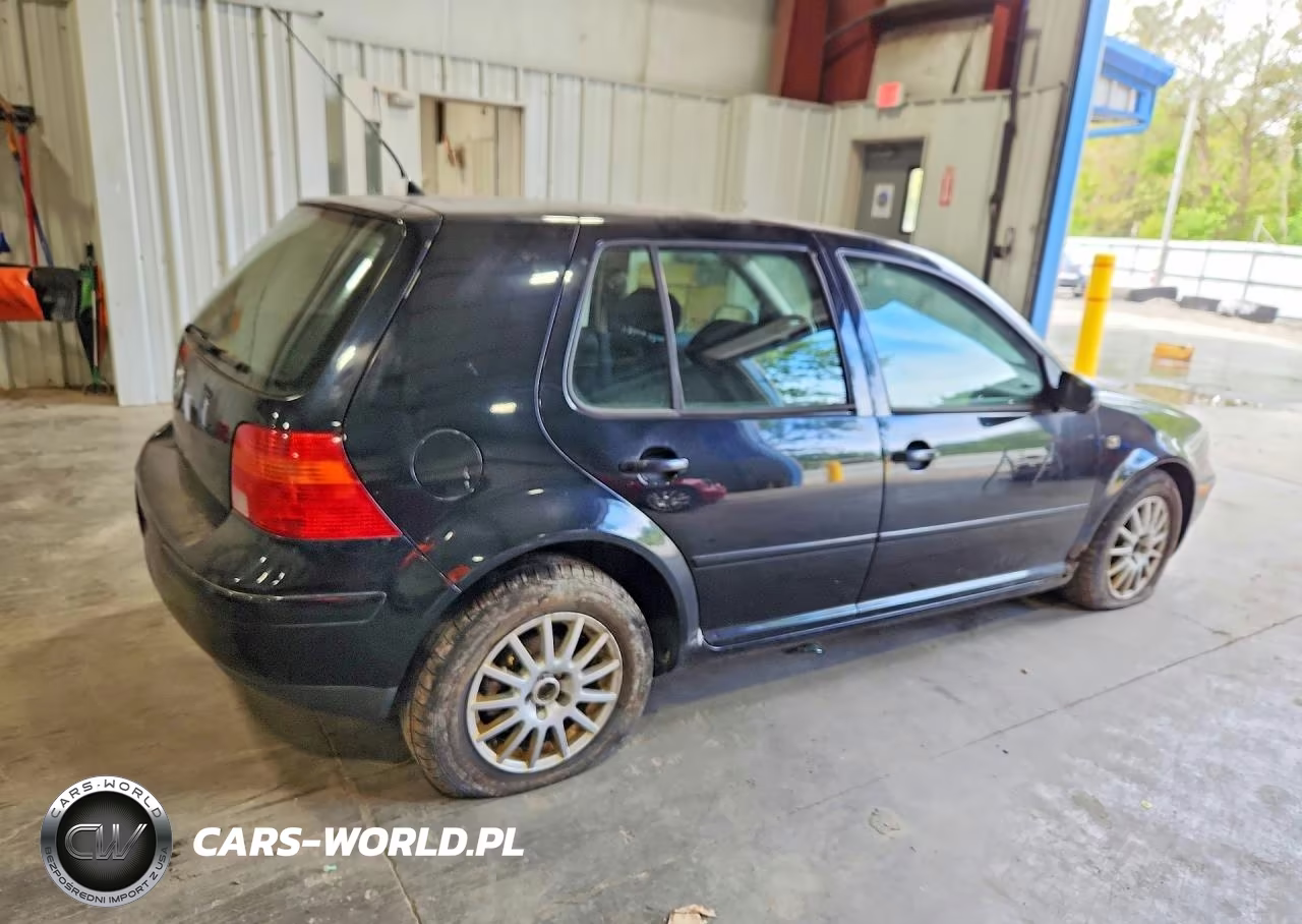 2004 Volkswagen Golf Gls VIN:9BWGL61J744009489 - 3