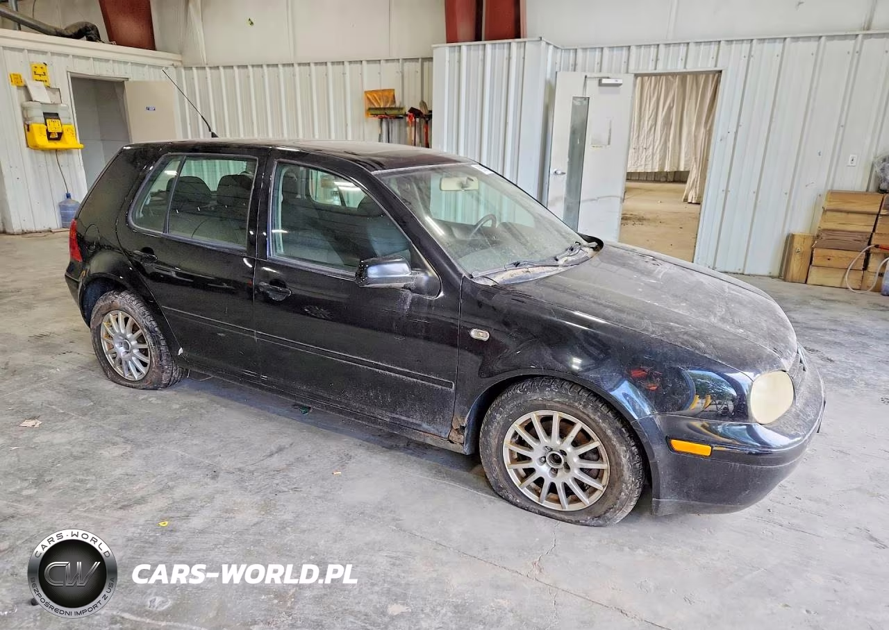 2004 Volkswagen Golf Gls VIN:9BWGL61J744009489 - 4