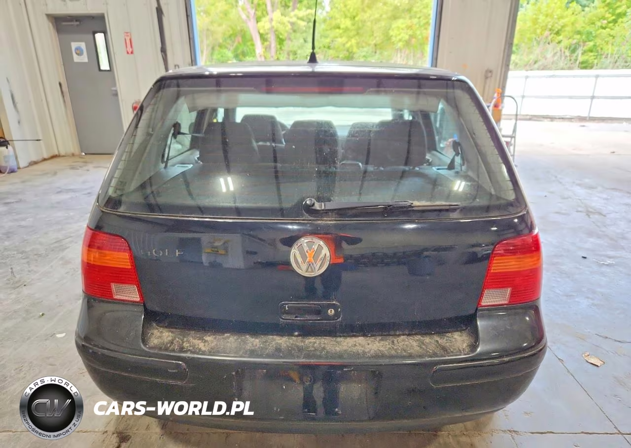 2004 Volkswagen Golf Gls VIN:9BWGL61J744009489 - 6