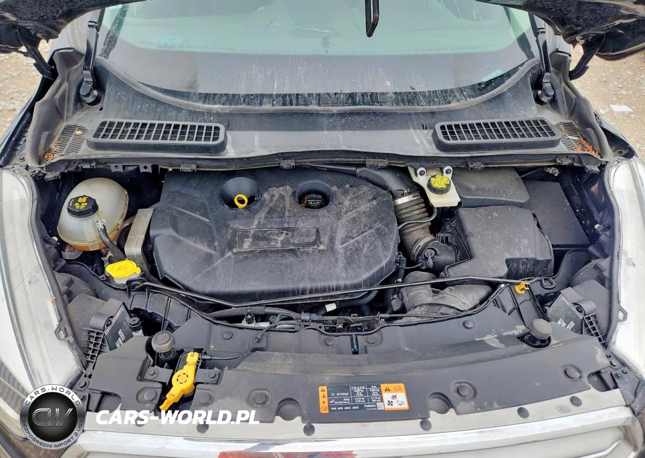 2019 Ford Escape Titanium VIN:1FMCU9J99KUC48211 - 11