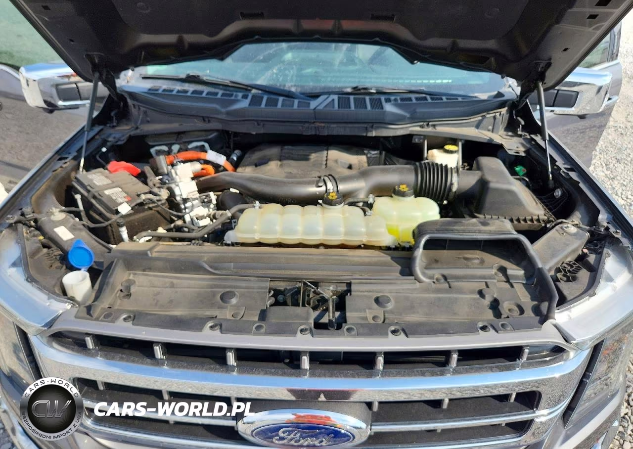 2021 Ford F150 Supercrew VIN:1FTFW1ED6MFC98227 - 11