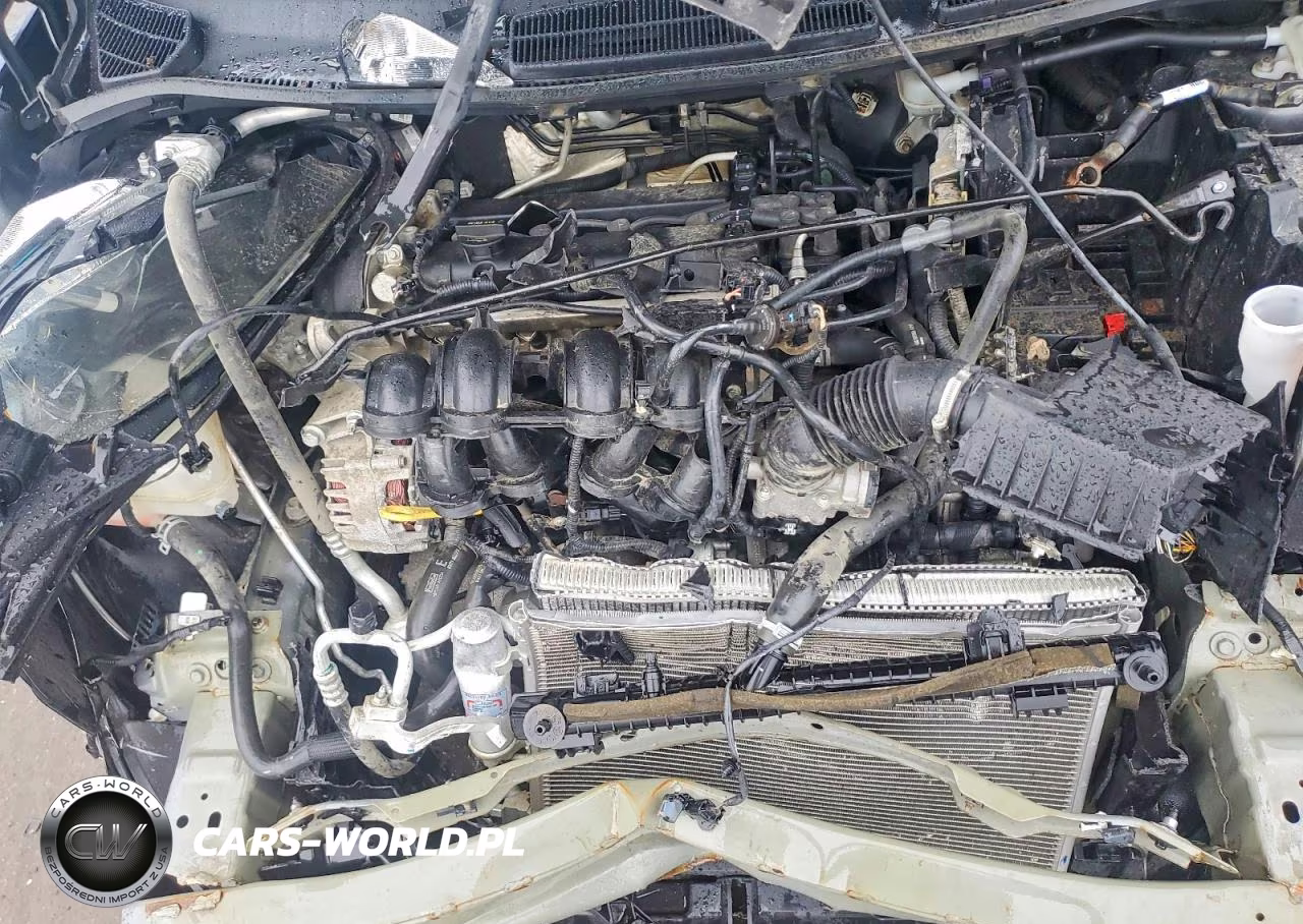 2019 Ford Fiesta Se VIN:3FADP4BJ1KM145855 - 11