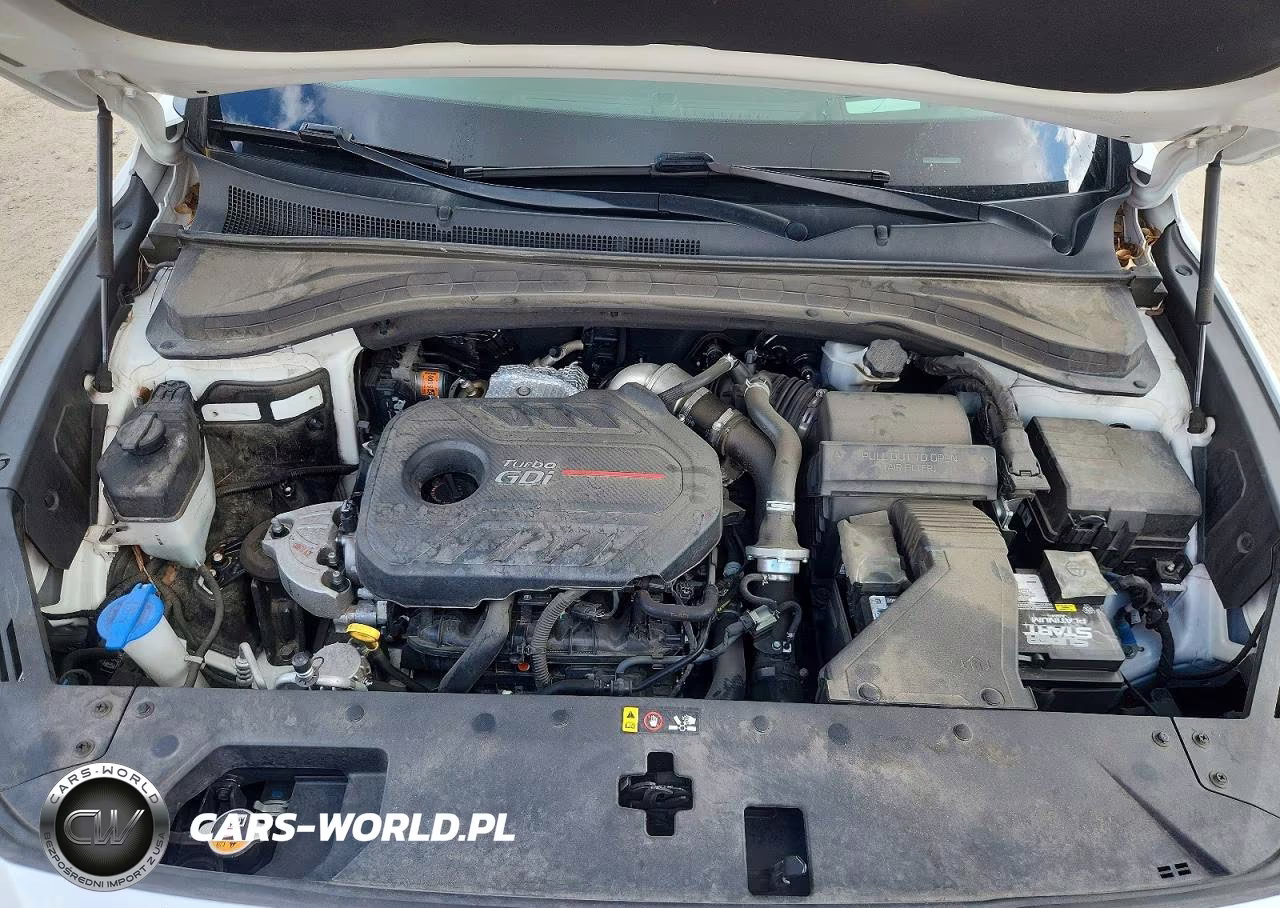 2020 Hyundai Santa Fe Limited 2.0T VIN:5NMS53AA7LH281656 - 12