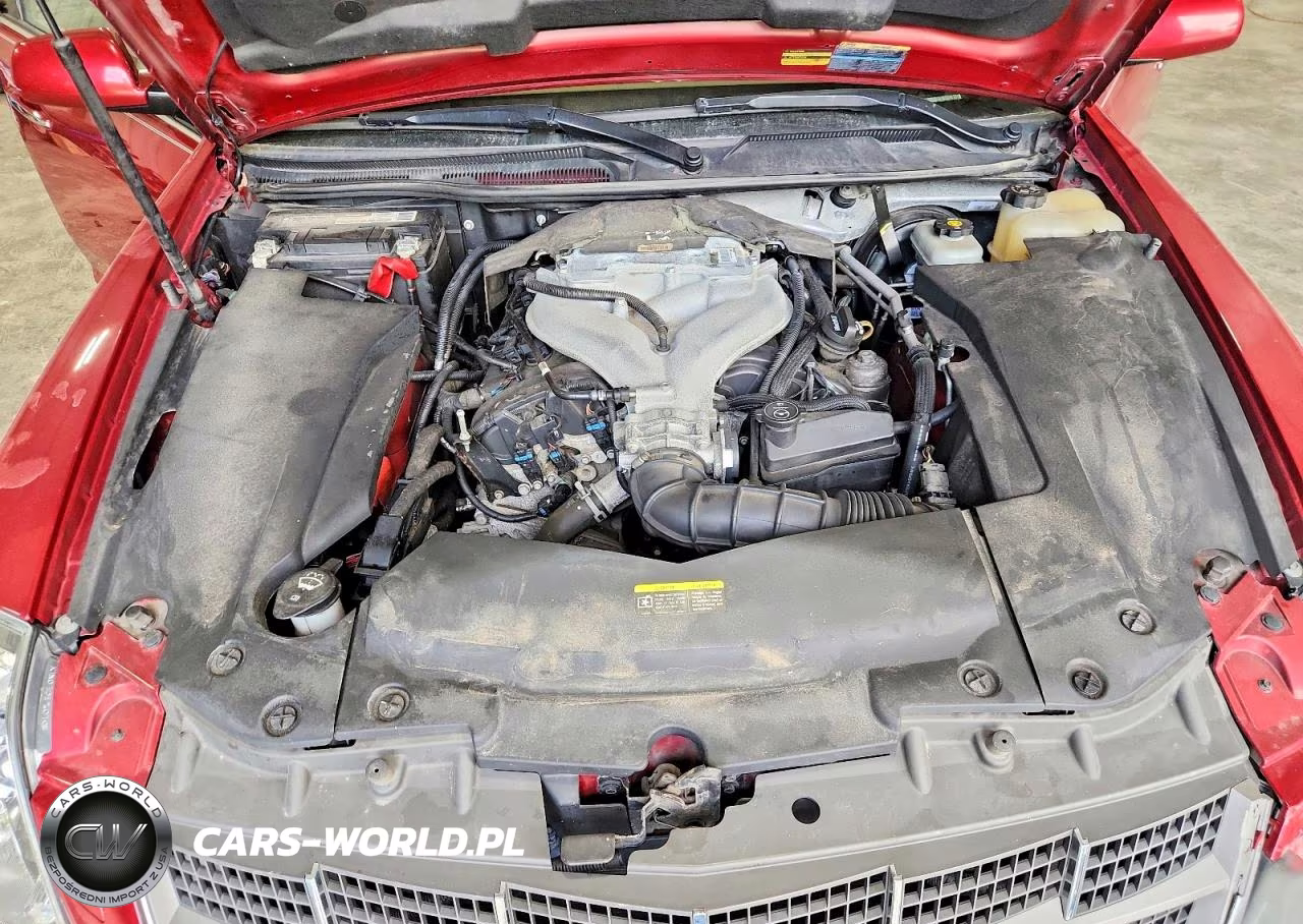 2008 Cadillac Sts VIN:1G6DD67V080186017 - 11
