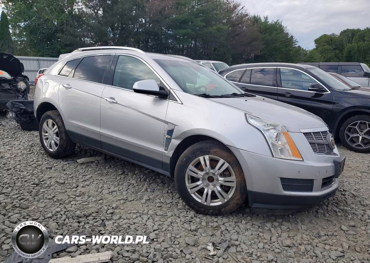 2010 Cadillac Srx Luxury Collection VIN:3GYFNAEY5AS543977 - 4