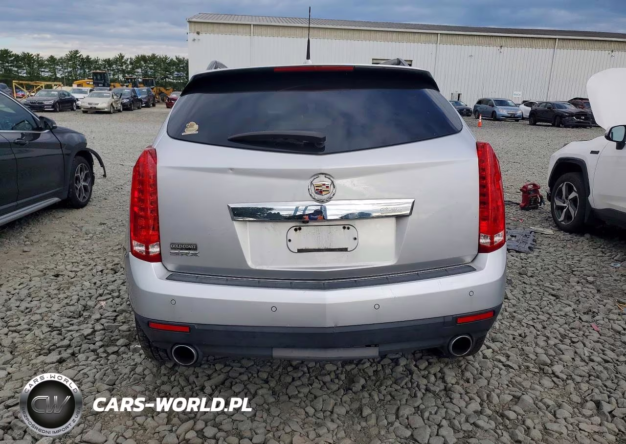 2010 Cadillac Srx Luxury Collection VIN:3GYFNAEY5AS543977 - 6