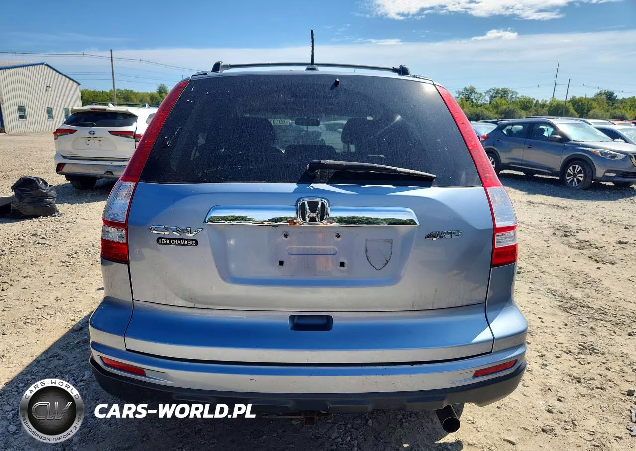 2010 Honda Cr-V Exl VIN:5J6RE4H74AL064828 - 6