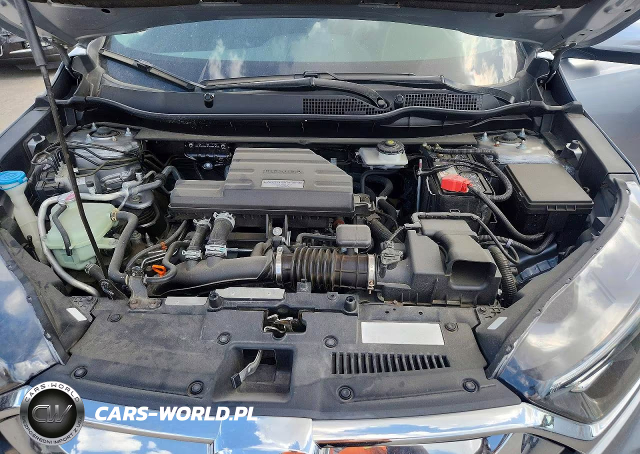 2019 Honda Cr-V Exl VIN:5J6RW2H87KL000228 - 12