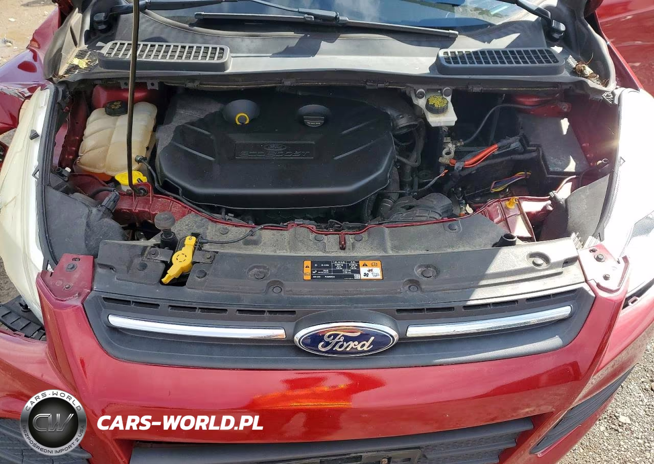 2016 Ford Escape Se VIN:1FMCU9G9XGUA61803 - 12