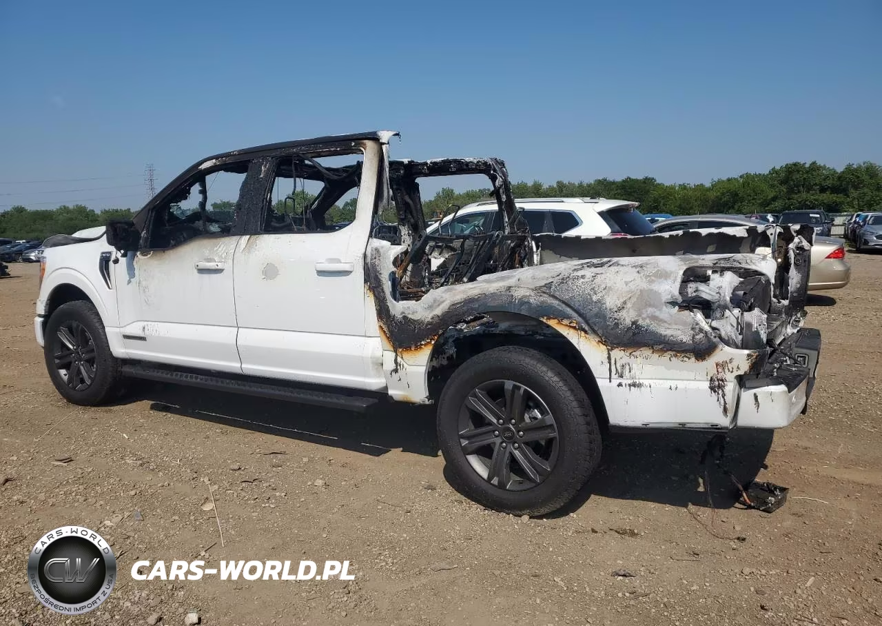 2023 Ford F150 Supercrew VIN:1FTFW1ED3PFC75718 - 2