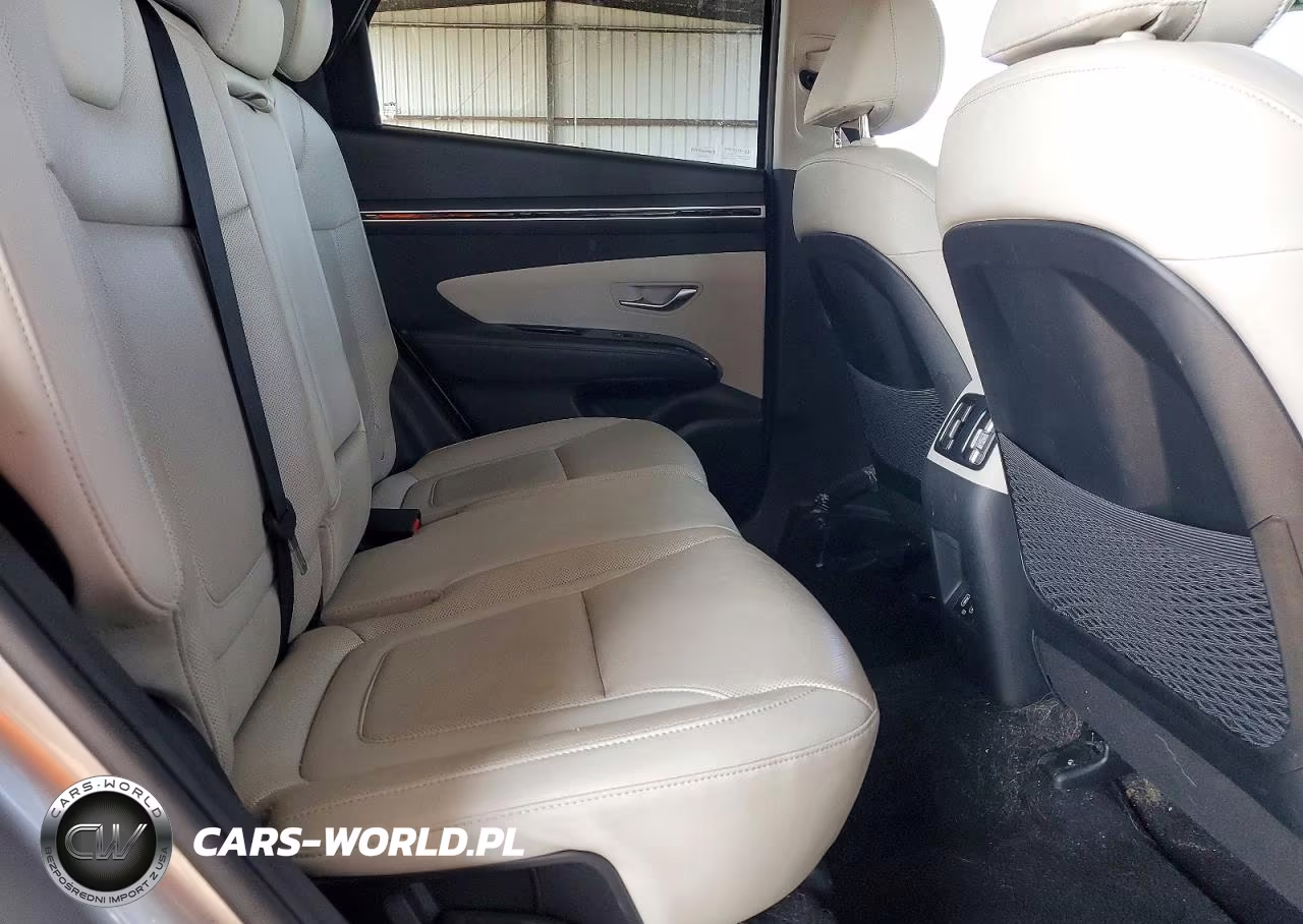 2024 Hyundai Tucson Limited VIN:5NMJECDE8RH298145 - 10
