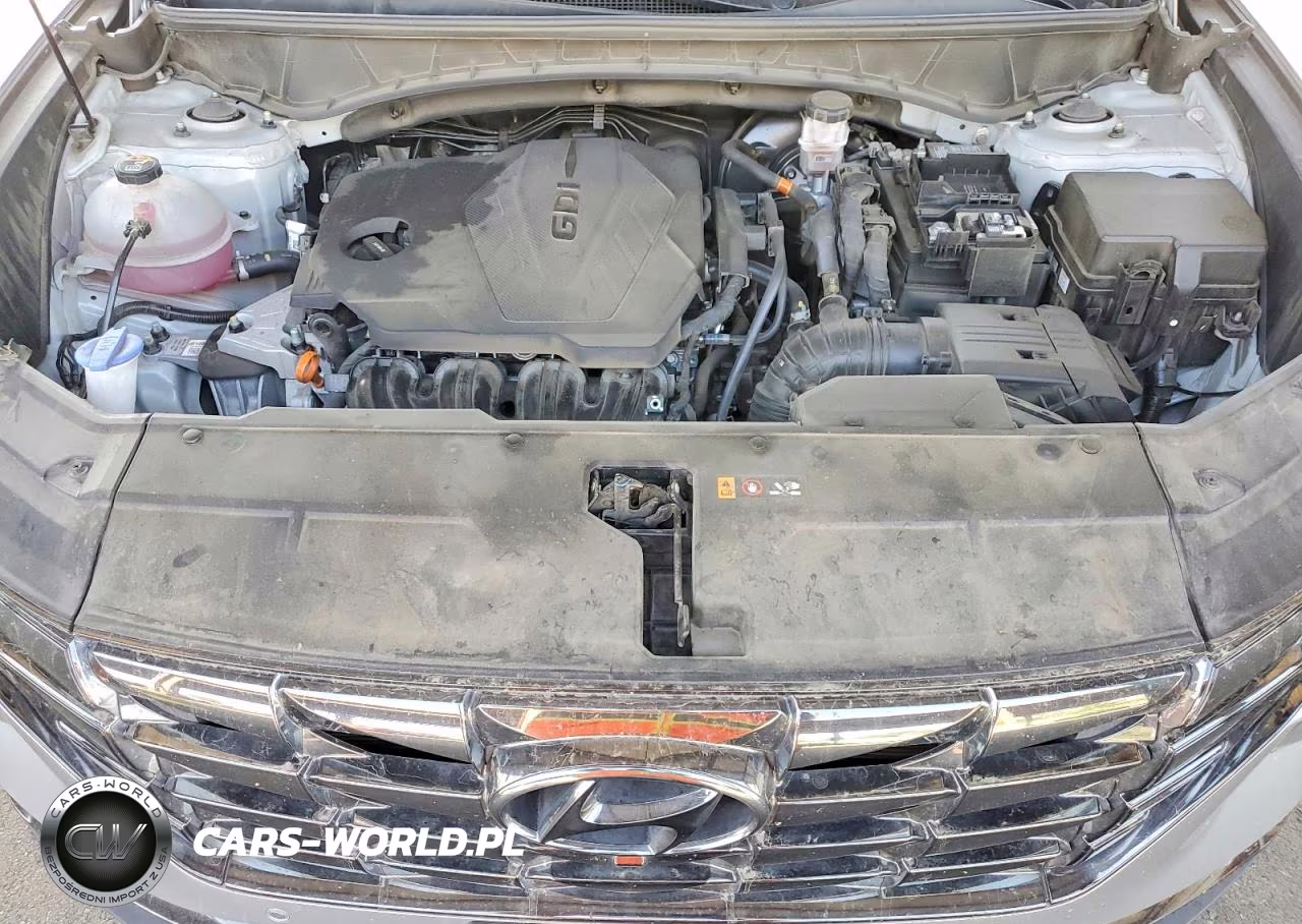 2024 Hyundai Tucson Limited VIN:5NMJECDE8RH298145 - 11