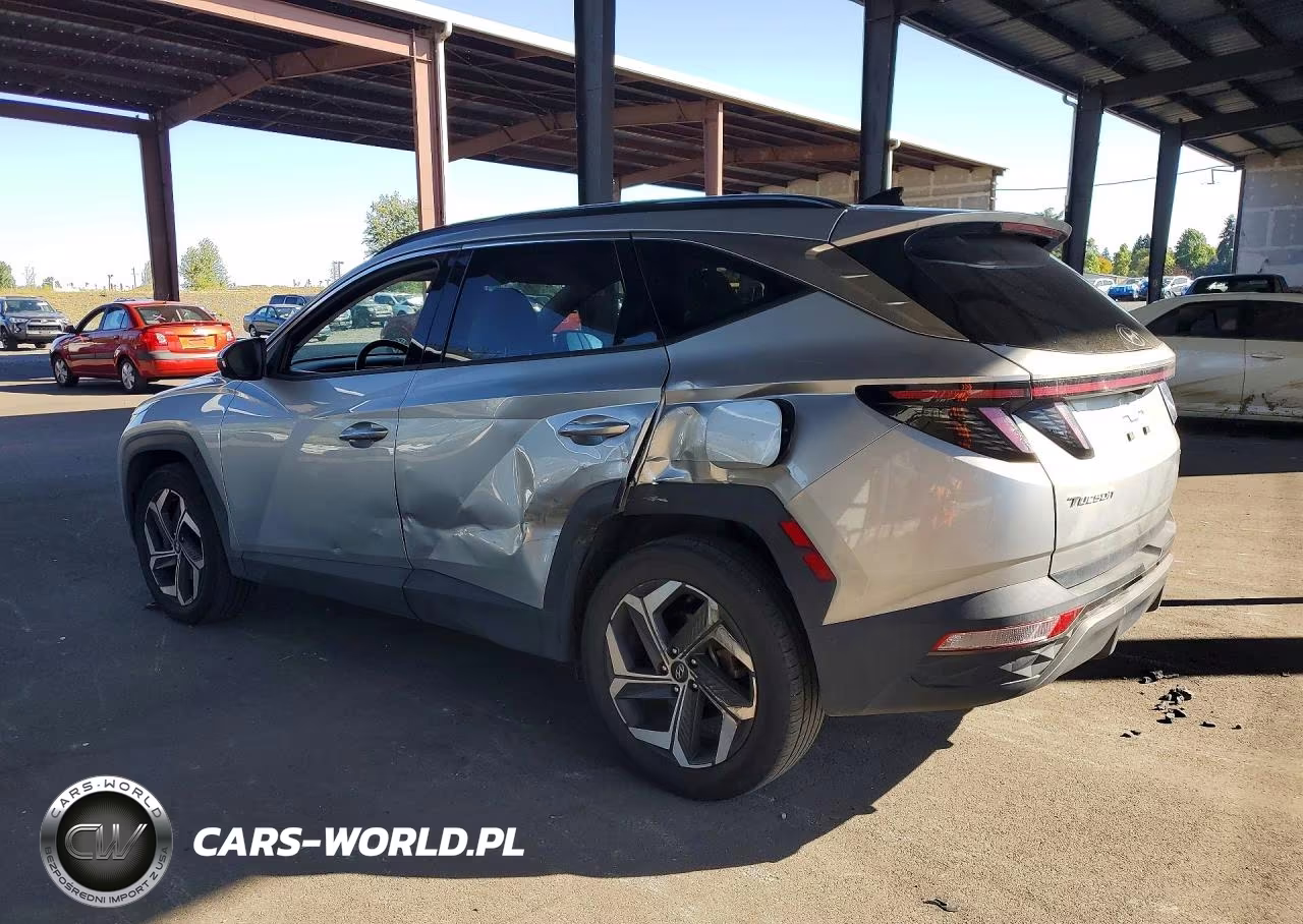 2024 Hyundai Tucson Limited VIN:5NMJECDE8RH298145 - 2