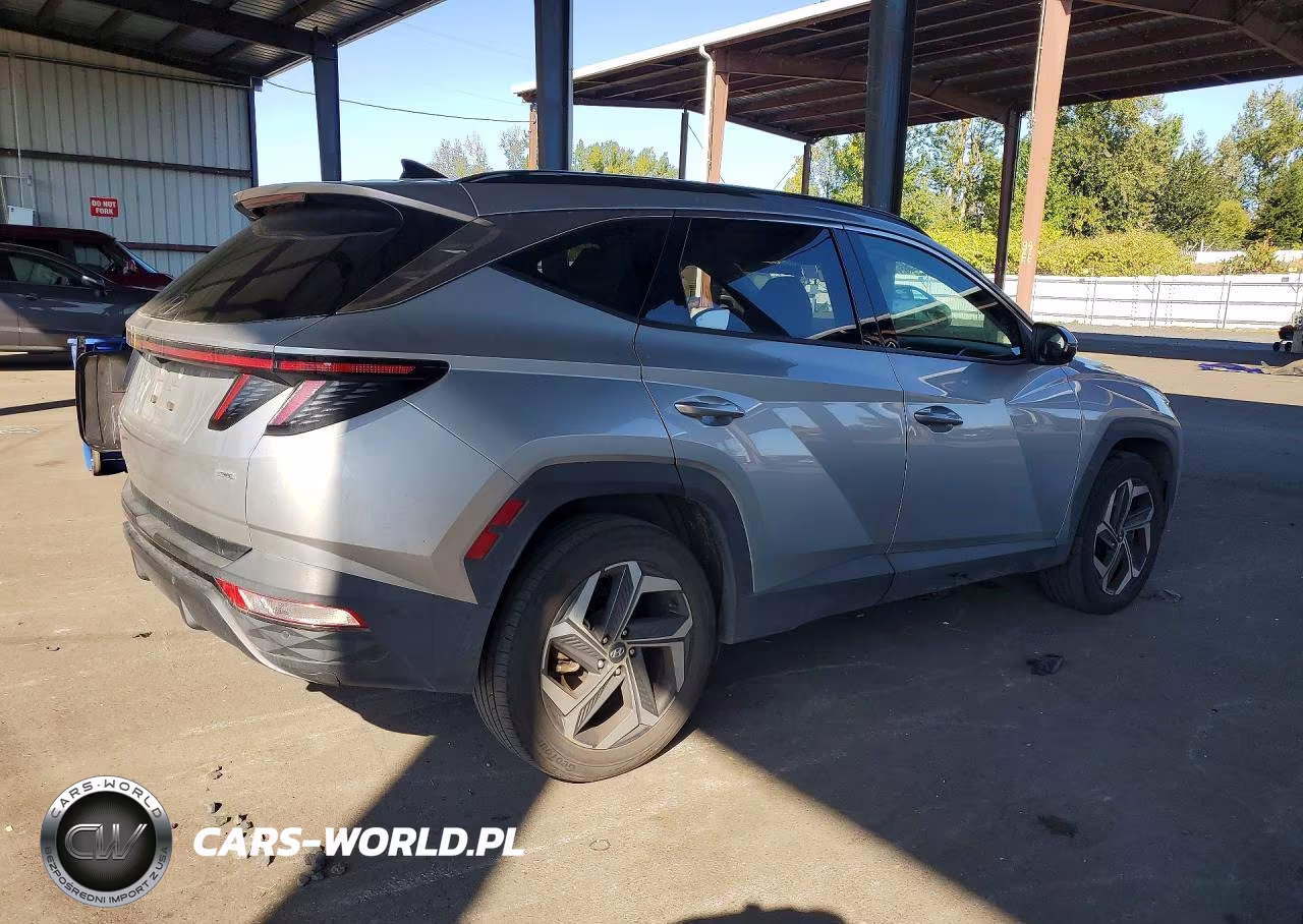 2024 Hyundai Tucson Limited VIN:5NMJECDE8RH298145 - 3