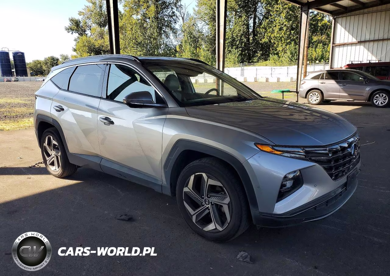 2024 Hyundai Tucson Limited VIN:5NMJECDE8RH298145 - 4