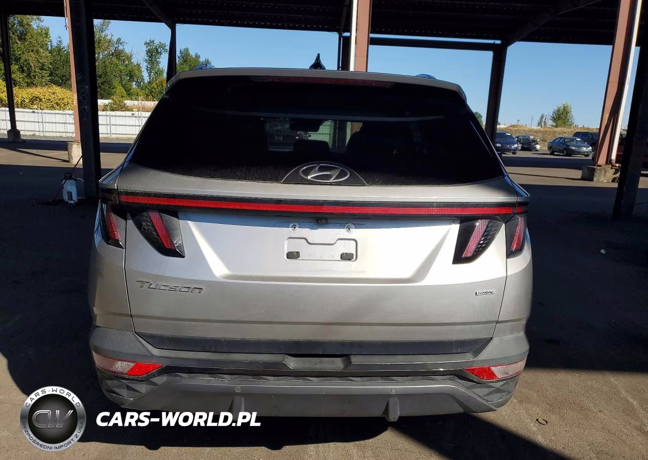 2024 Hyundai Tucson Limited VIN:5NMJECDE8RH298145 - 6