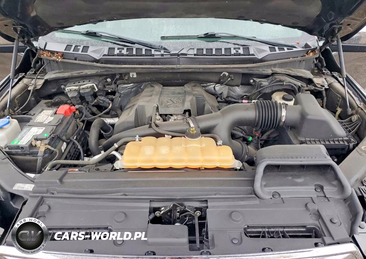 2016 Ford F150 Supercrew VIN:1FTEW1EP3GKD28009 - 11
