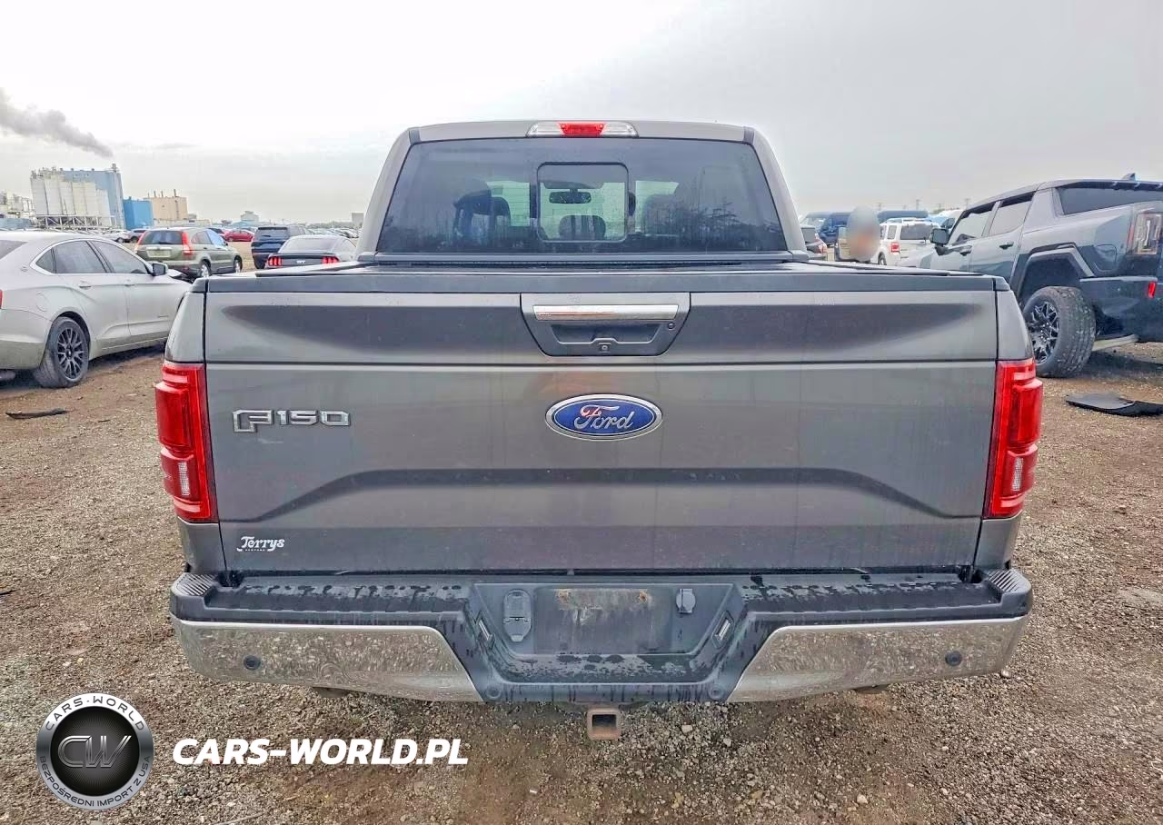 2016 Ford F150 Supercrew VIN:1FTEW1EP3GKD28009 - 6
