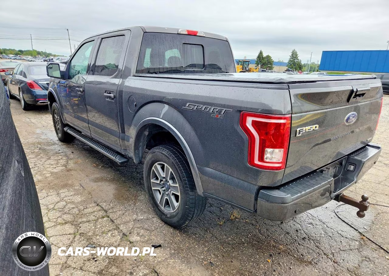 2015 Ford F150 Supercrew VIN:1FTEW1EF0FFC51551 - 2