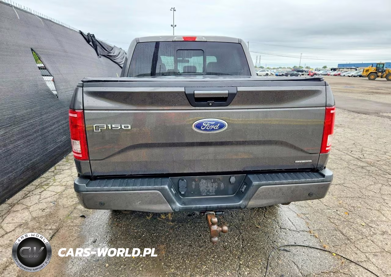 2015 Ford F150 Supercrew VIN:1FTEW1EF0FFC51551 - 6