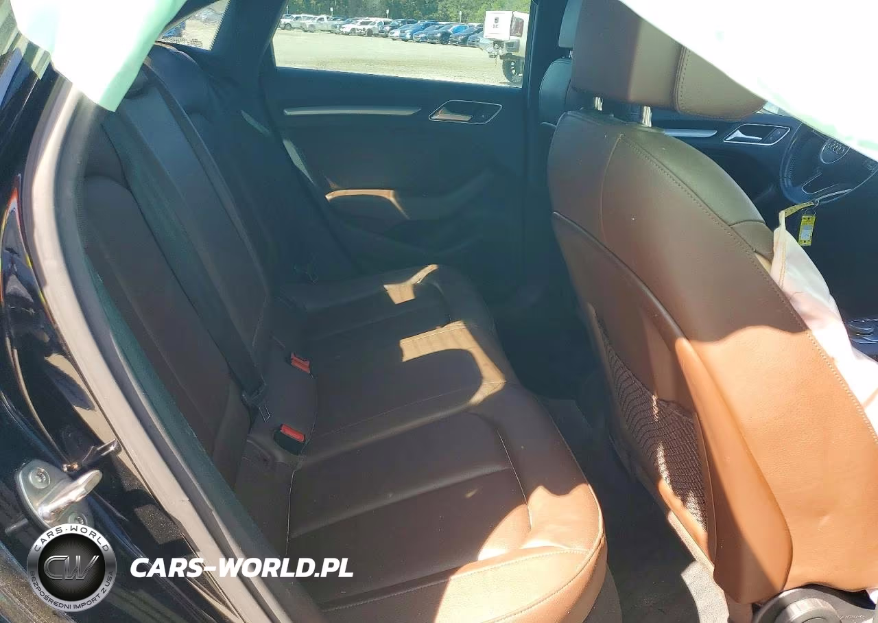 2017 Audi A3 Premium VIN:WAUAUGFF0H1034830 - 10
