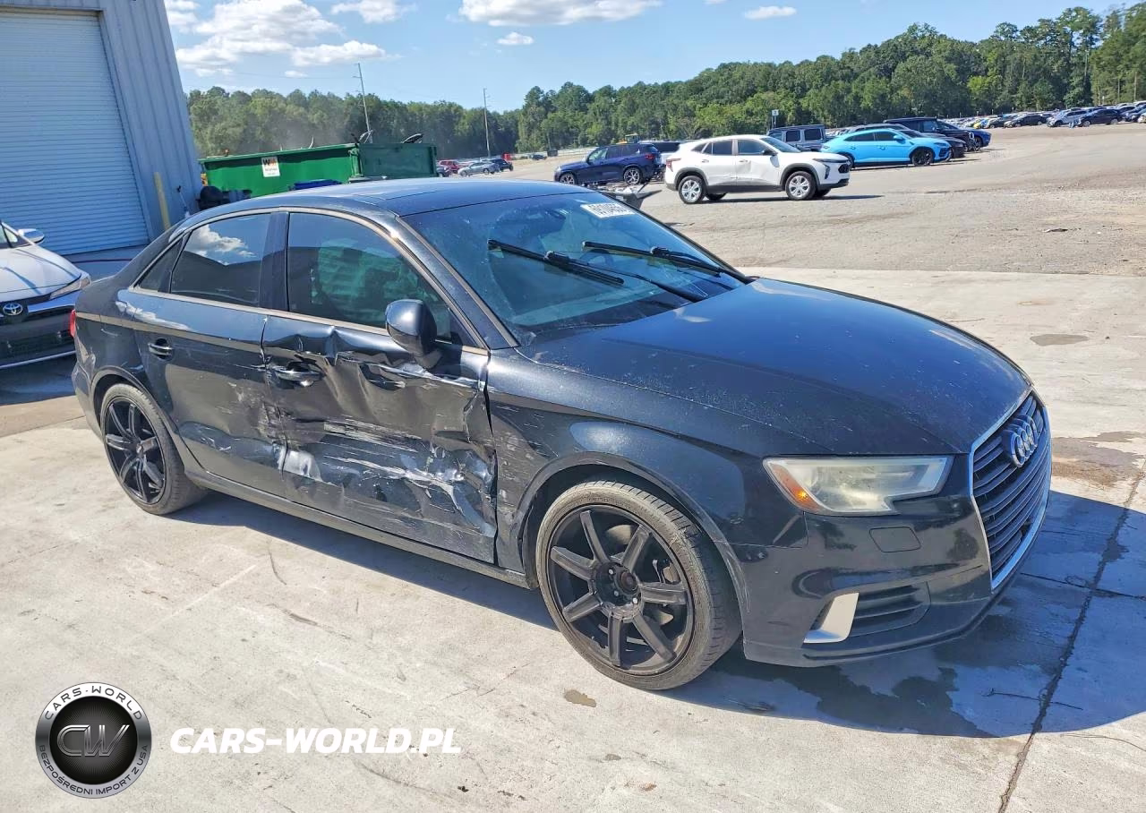 2017 Audi A3 Premium VIN:WAUAUGFF0H1034830 - 4