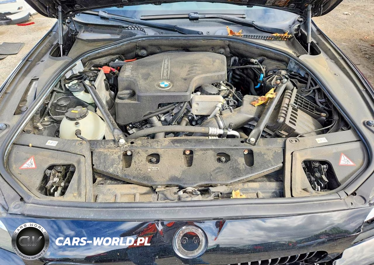 2016 BMW 528 Xi VIN:WBA5A7C53GG151318 - 11