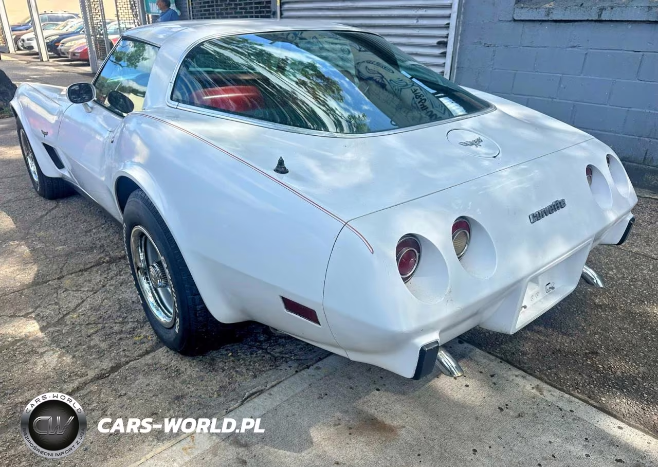 1979 Chevrolet Corvette Stingray 1Lt VIN:1Z8789S428000 - 3