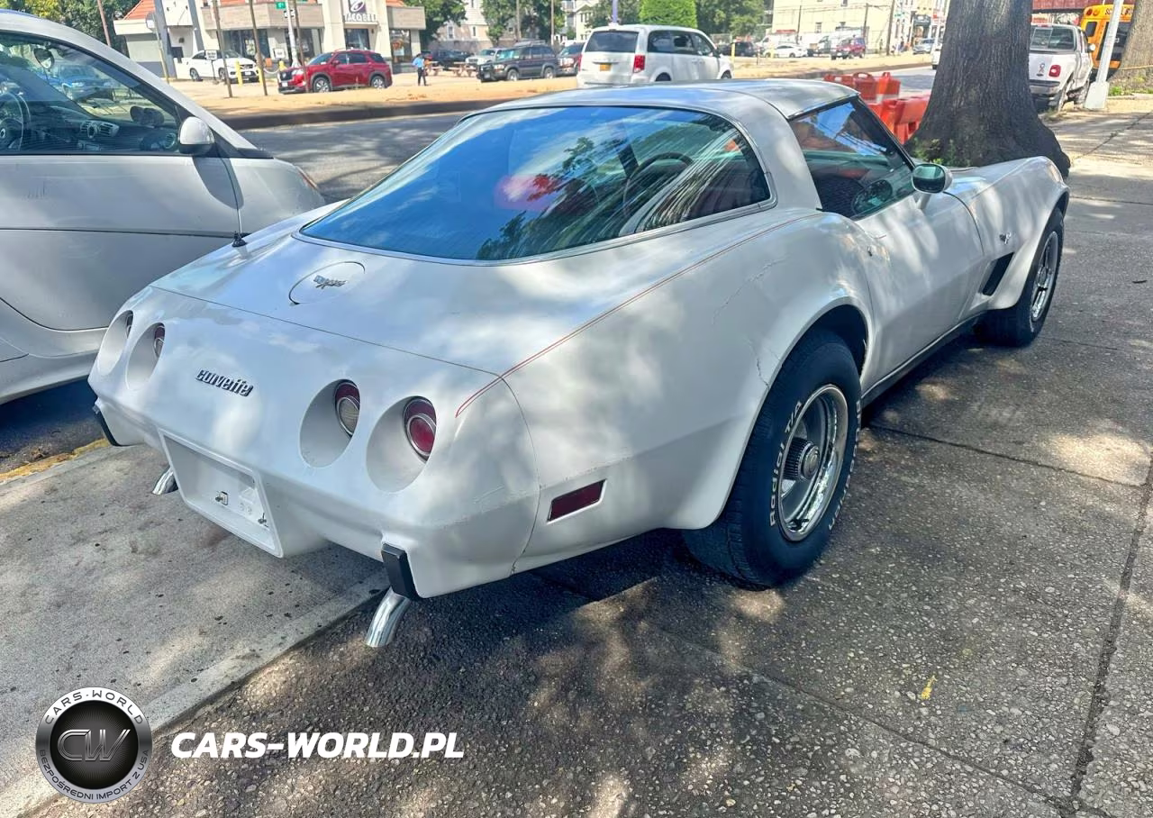 1979 Chevrolet Corvette Stingray 1Lt VIN:1Z8789S428000 - 4