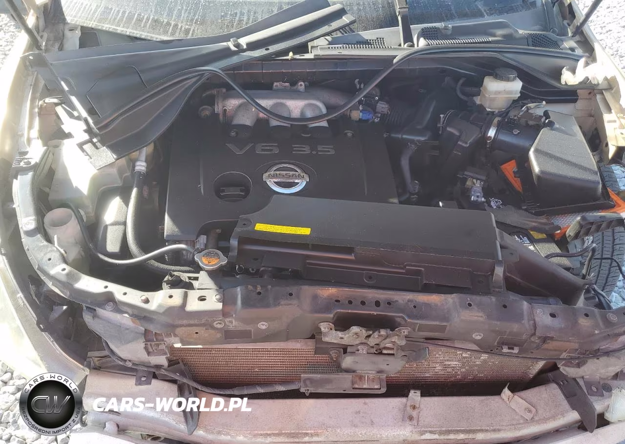 2004 Nissan Murano VIN:JN8AZ08T74W228481 - 11