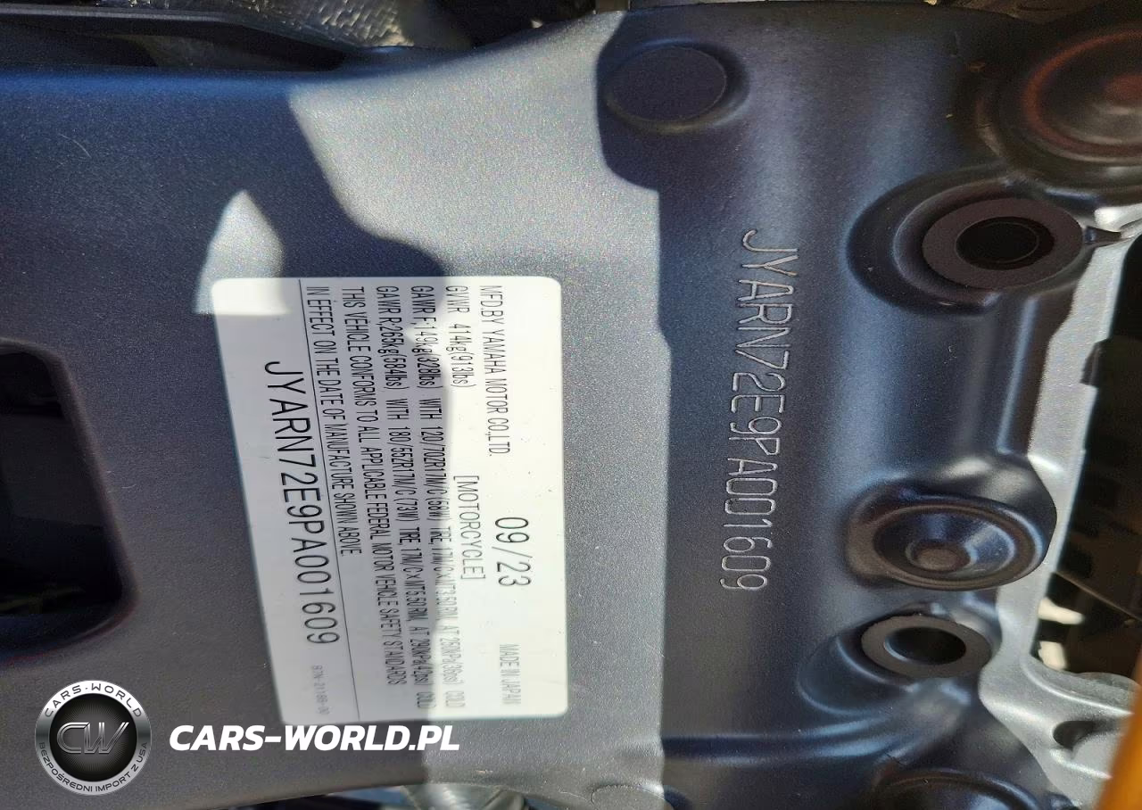2023 Yamaha Mt09 D VIN:JYARN72E9PA001609 - 9