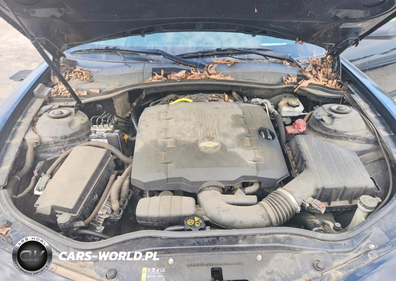 2015 Chevrolet Camaro Ls VIN:2G1FB1E36F9241369 - 11