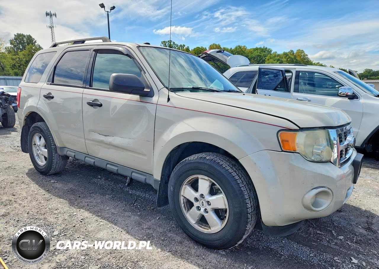 2009 Ford Escape Xlt VIN:1FMCU93G09KA61487 - 4